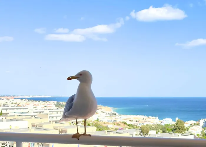 Apartament Les 3 Dauphins In *