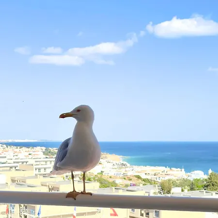 Appartement Les 3 Dauphins In *
